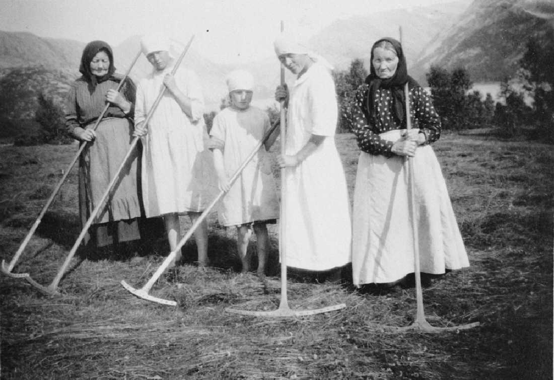 Leirfjord, Vatne. Slåttearbeid. f.v.: Dortea Johansen, Ellen Vatne, Magnhild Vatne (Bing), Pauline Lorentzen, Birgitte Jørgensdatter, (f. ca. 1845)
Bildet er brukt i Leirfjordkalenderen - juli 2020