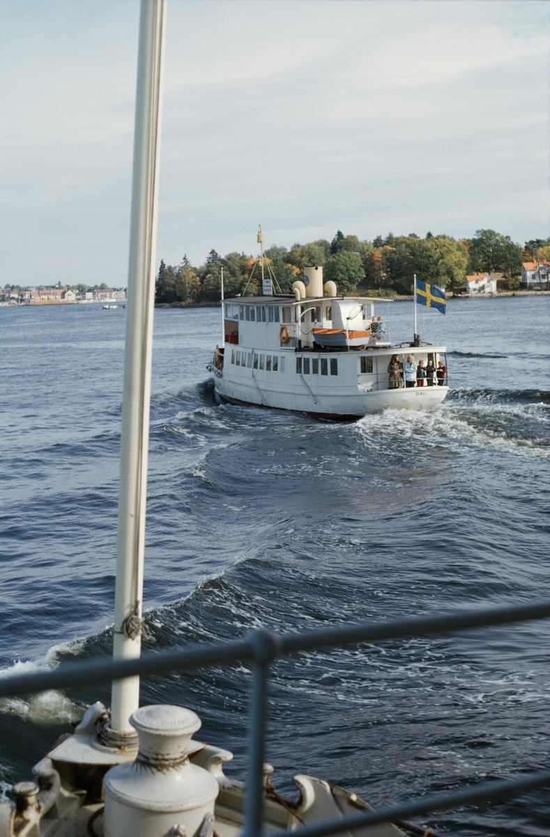 SS GURLI