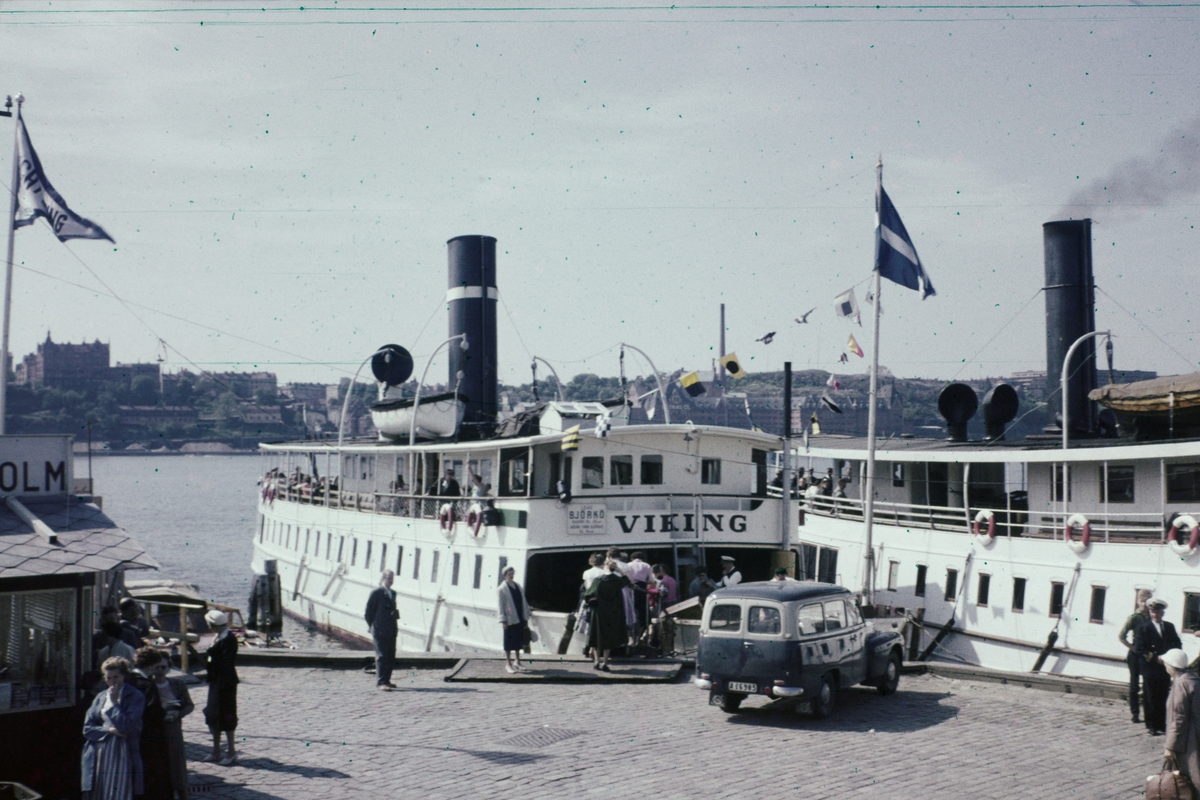 SS VIKING o SS MARIEFRED