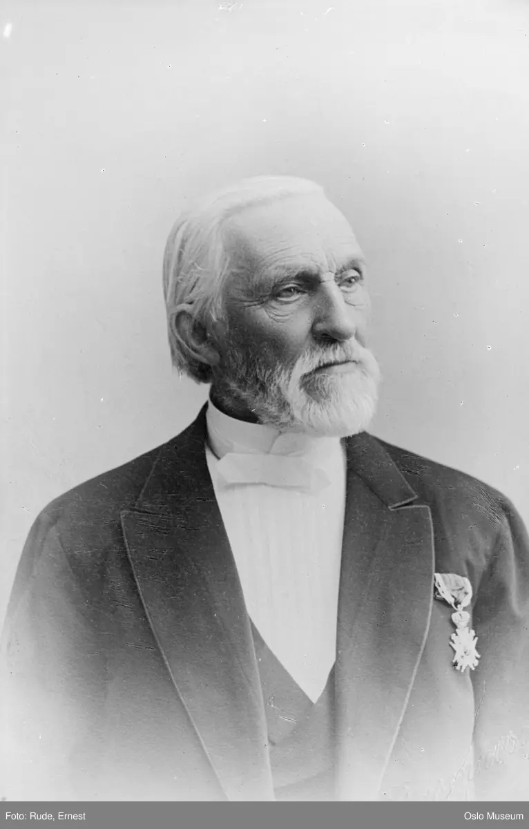portrett, mann, tollkasserer, brystbilde, orden