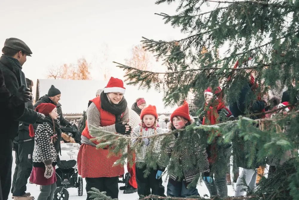 Barn med nisseluer ved et stor grantre utendørs. En voksen dame med nisselue synger med dem. En mann spiller trekkspill.