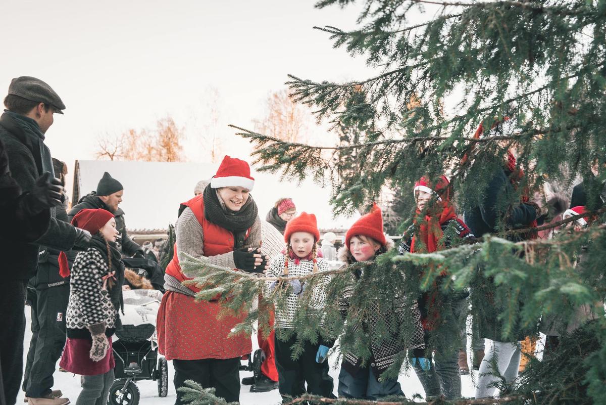 Barn med nisseluer ved et stor grantre utendørs. En voksen dame med nisselue synger med dem. En mann spiller trekkspill.