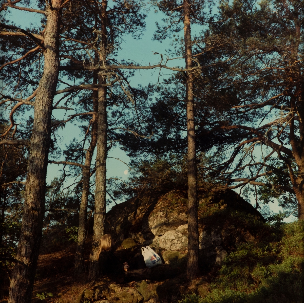 I et norsk landskap 1-6 [Fargefotografi]