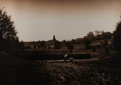Vilnes kirke, Sognefjorden, Askvoll  (el. Jenny og Magnus te