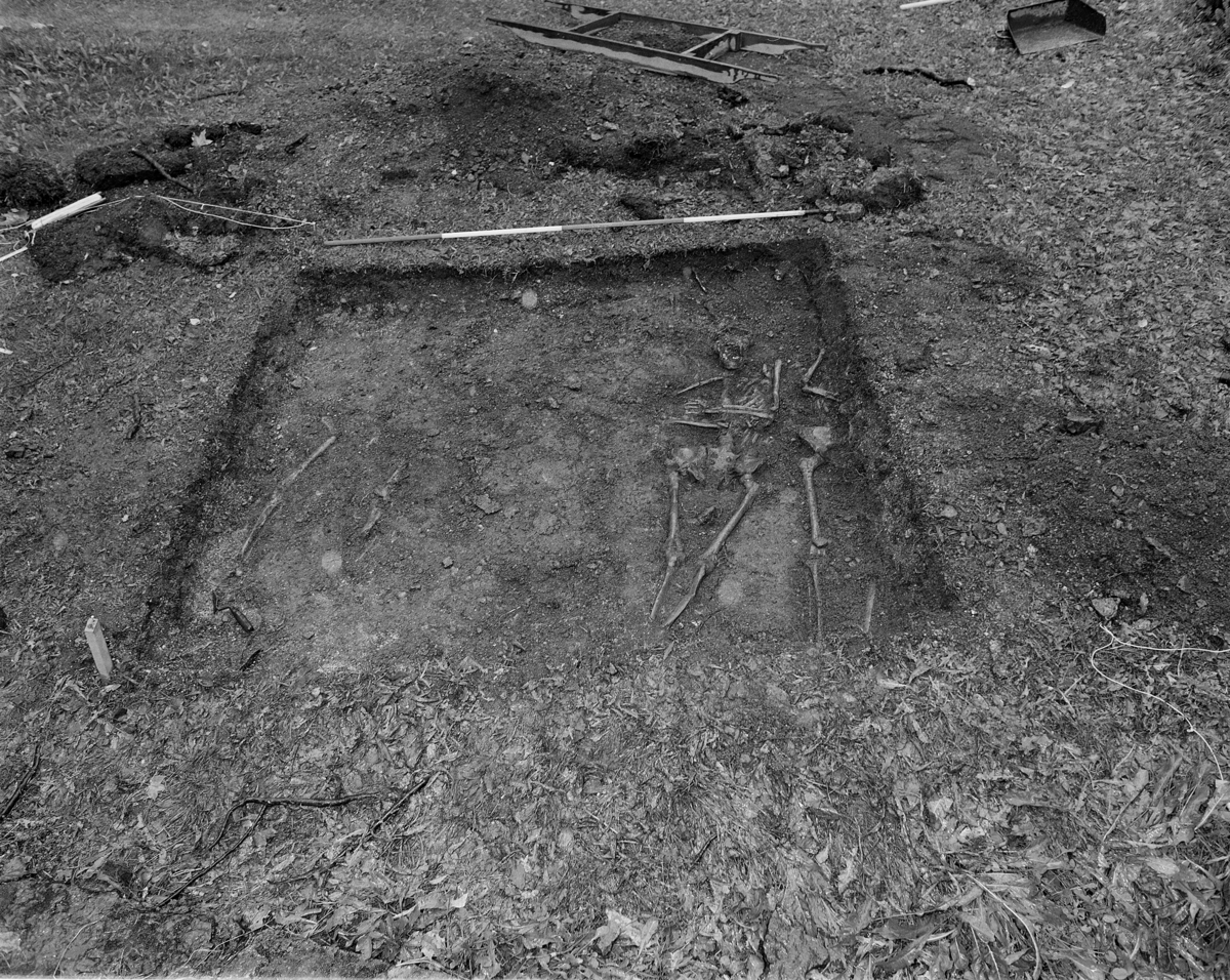 Utgravinger, arkeologi ved Hamar Domkirkeruin, Alf Tore Hommedal. Prøvefelt