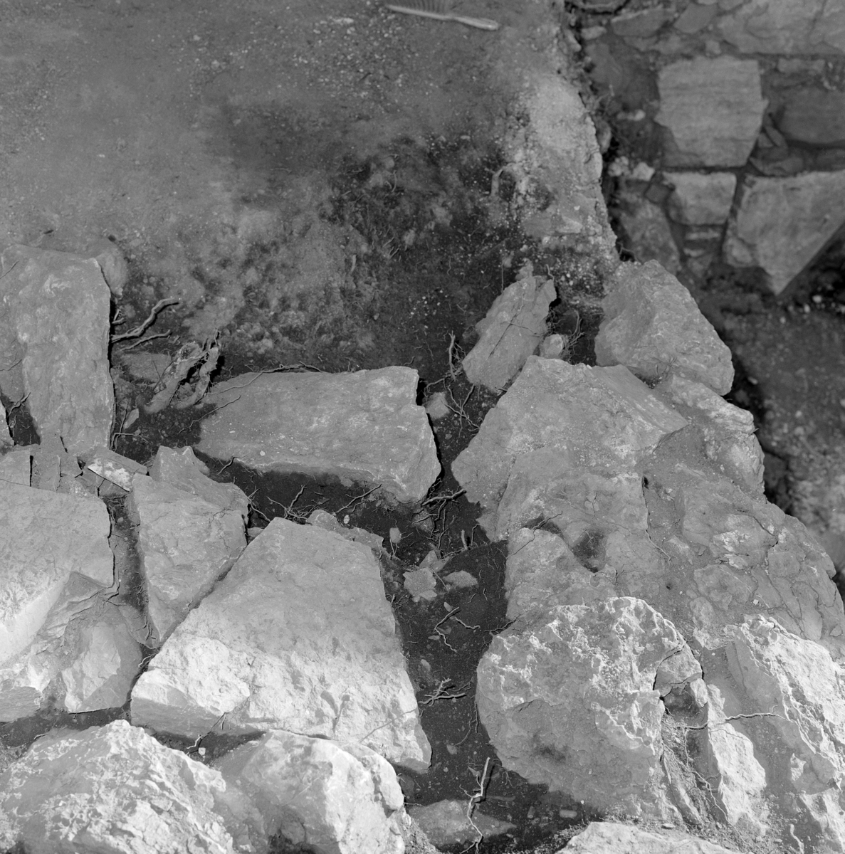 Arkeologiske undersøkelser i kjellerruin vest for drengestua 1986-1989. Nord-sydgående syllsteinsrekke med steinpakning innenfor.
