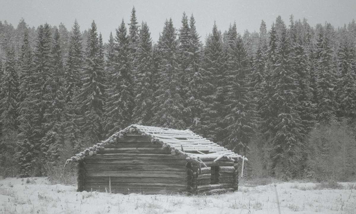 Koier Sør-Trysil. Verksted Koll Granli. 110/117