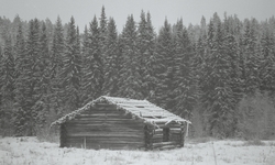 Koier Sør-Trysil. Verksted Koll Granli. 110/117