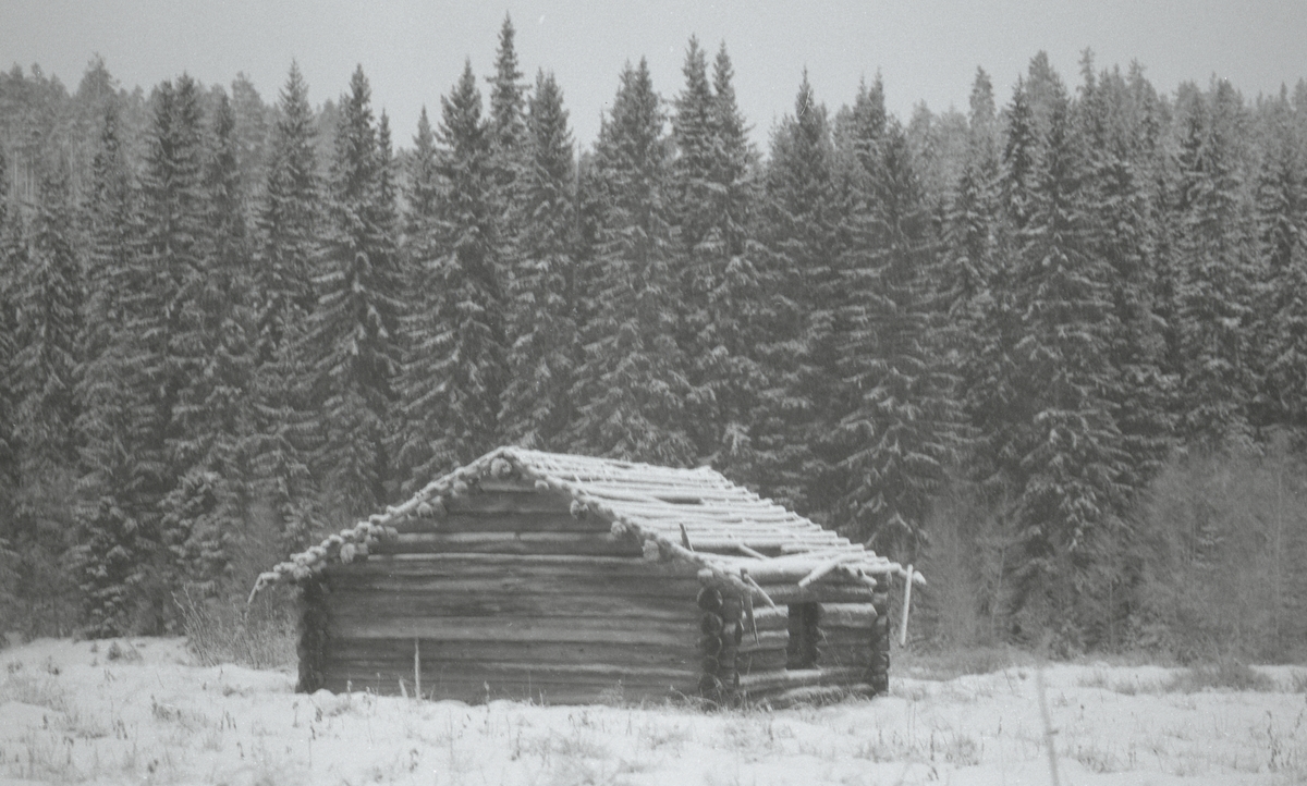 Koier Sør-Trysil. Verksted Koll Granli. 110/117