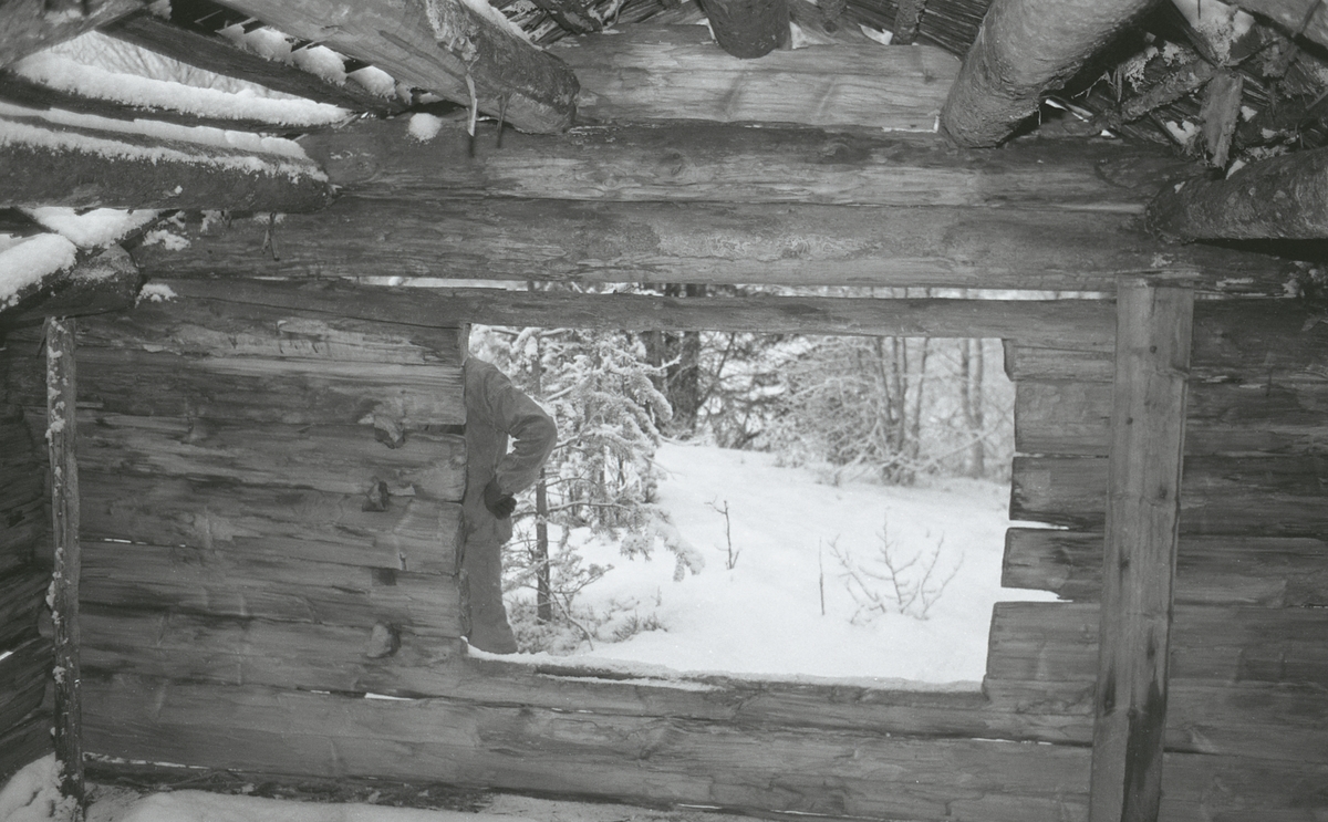 Koier Sør-Trysil. Verksted Koll Granli. 110/117