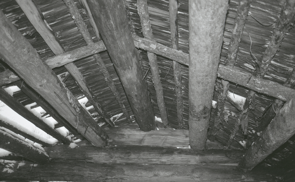 Koier Sør-Trysil. Verksted Koll Granli. 110/117