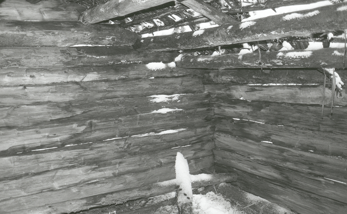 Koier Sør-Trysil. Verksted Koll Granli. 110/117