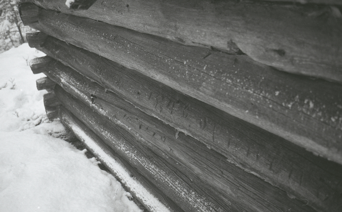 Koier Sør-Trysil. Verksted Koll Granli. 110/117