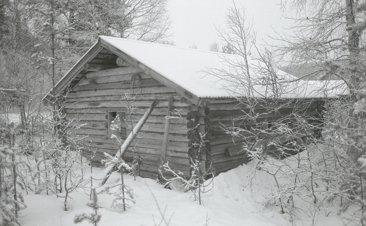 Koier Sør-Trysil. Verksted Koll Granli. 110/117
