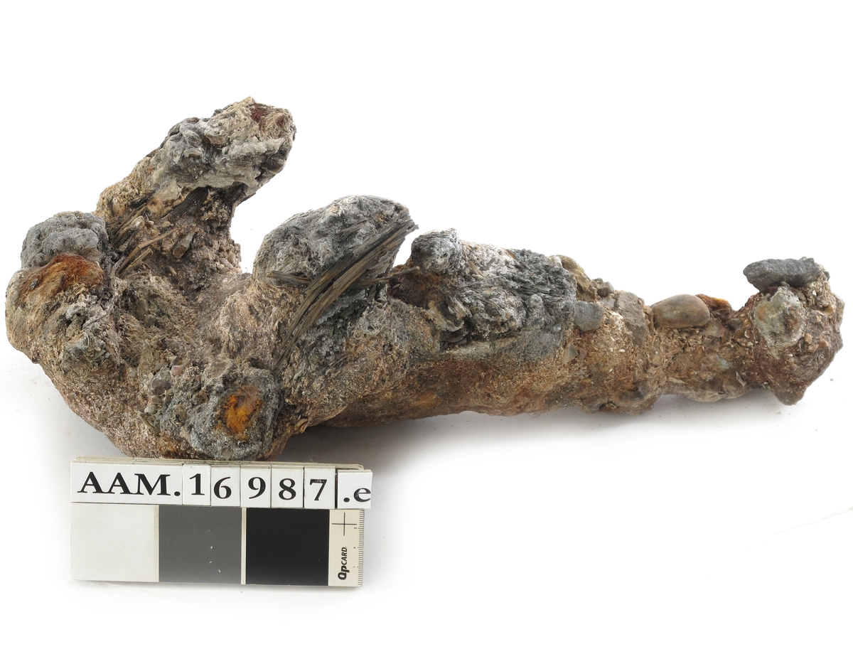 Korrosjonklump e) 
Korrosjonsklump omkring et stykke jern. Består av jern, rust, stein, sand og rester av treverk.