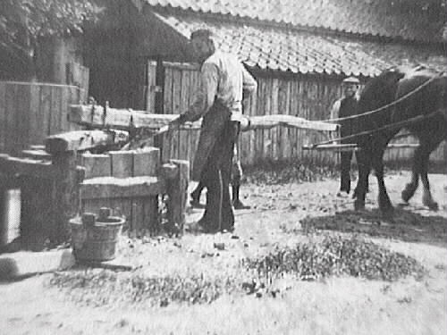 Gustaf Stenbergs lerkran, Falkenberg. Två hästar driver kranen. Till höger ligger en hög okranad lera. Till vänster i bilden ligger fyra kranade "klösar". Anordningen ligger utanför tomten, vilken hägnas med plank.