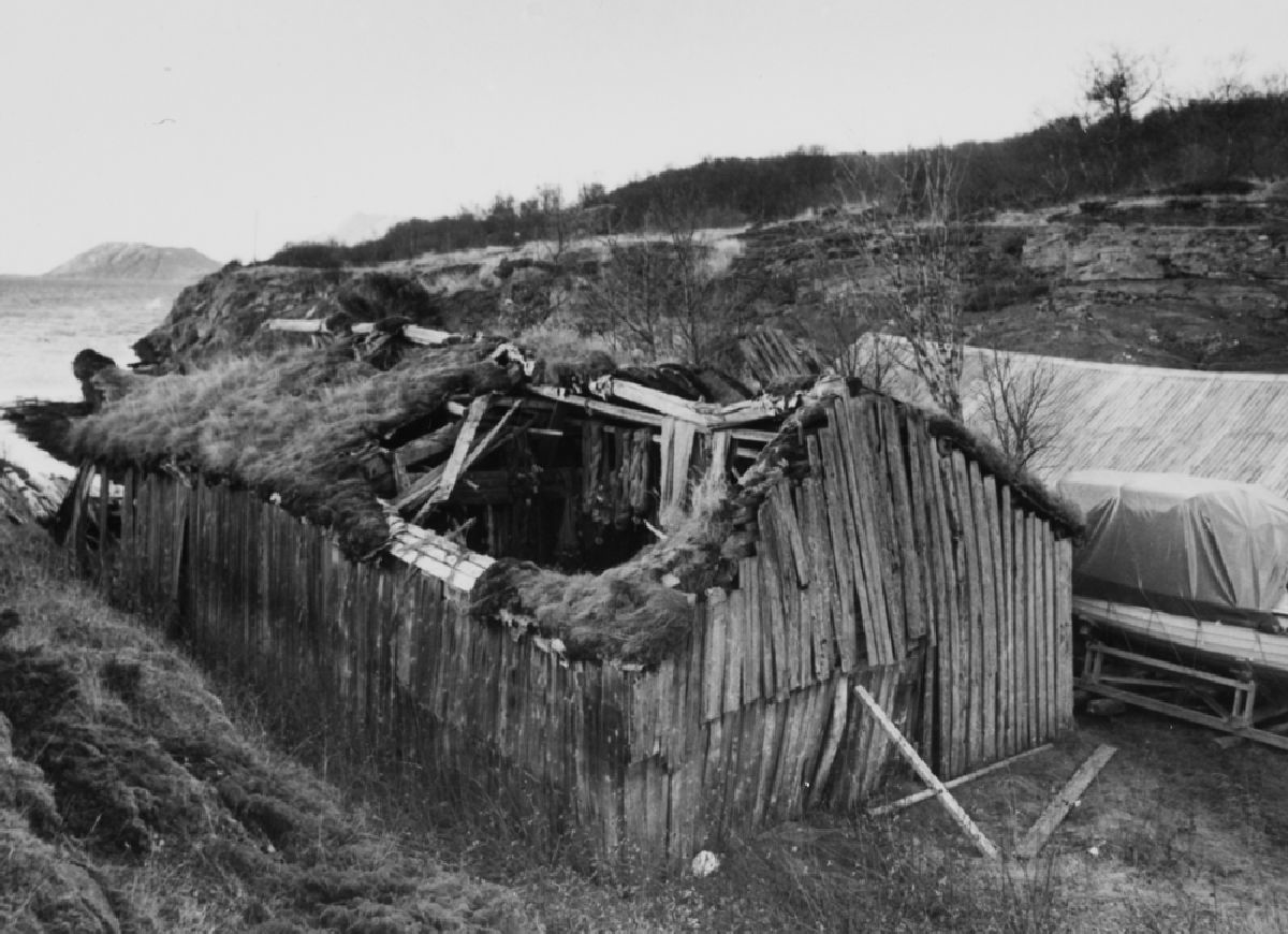 Leirfjord, Reines. Båtnaust med torvtak til nedfalls.