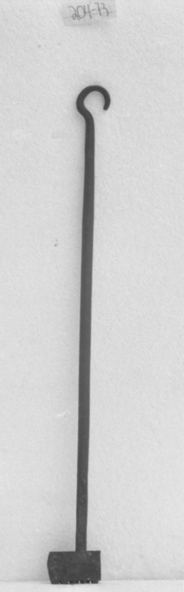 Svijern