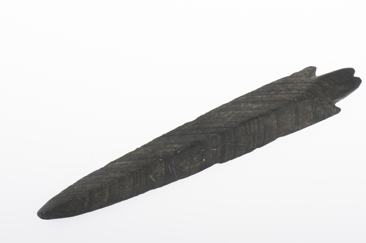 Skifferspjutspets, av den bredbladiga typen, med hullingar och tånge. I tångens bakände ett inhak.