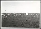 Flygbild som visar en stor mäng segelfartyg under starten till Tall Ships Race i Göteborg 1968.