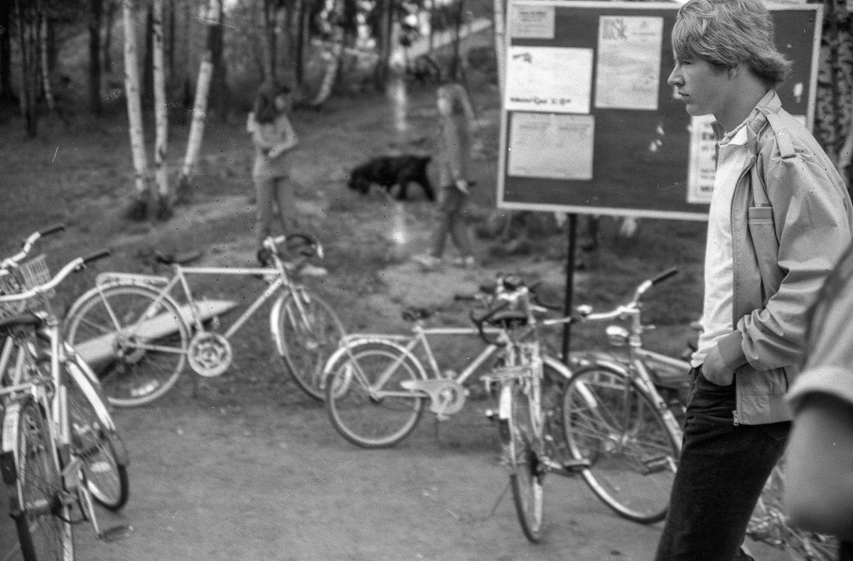 Langhusdagene 1983