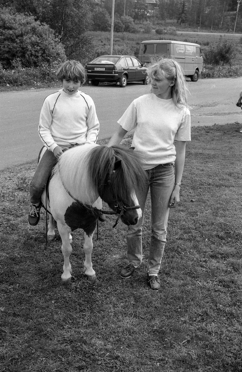 Langhusdagene 1983