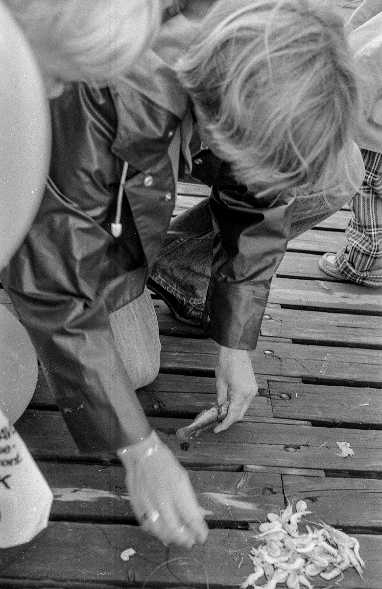 Drøbak-dagene 1980
Fotograf: ØB Gjærum