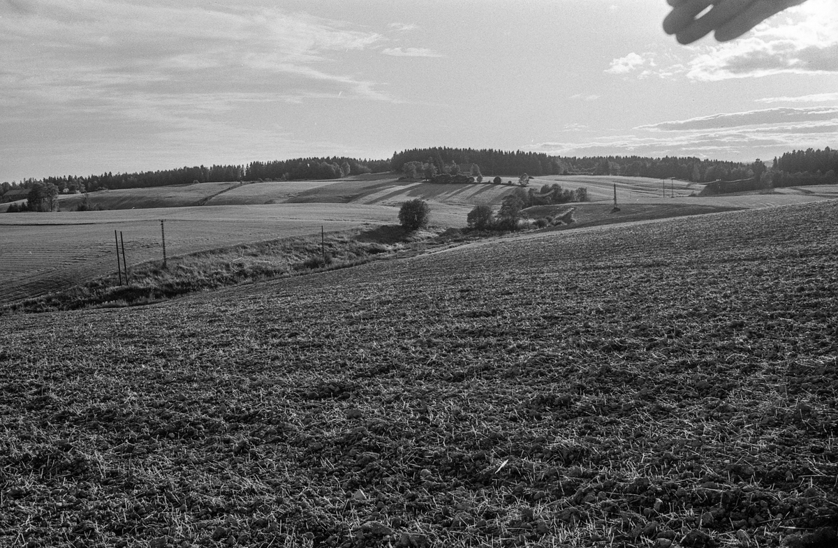 Naturbilder fra Kongeveien og Årungen i Nordby i Ås.