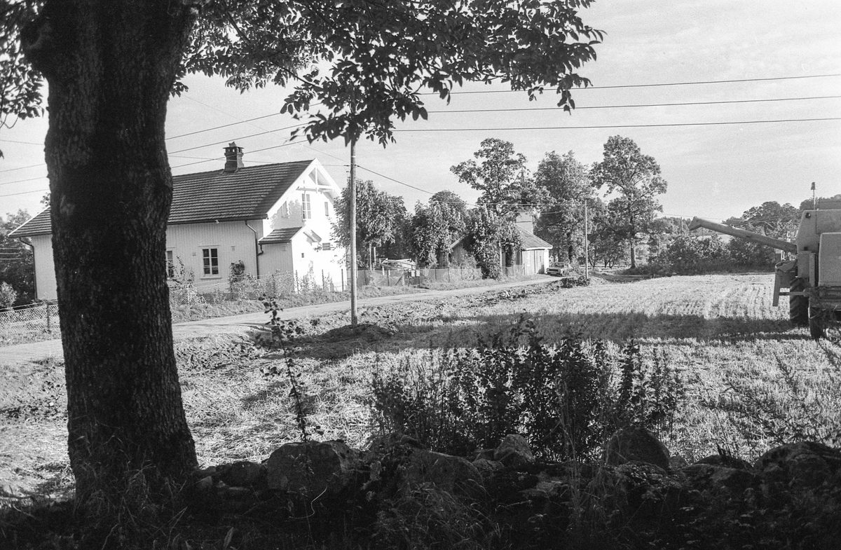 Naturbilder fra Kongeveien og Årungen i Nordby i Ås.