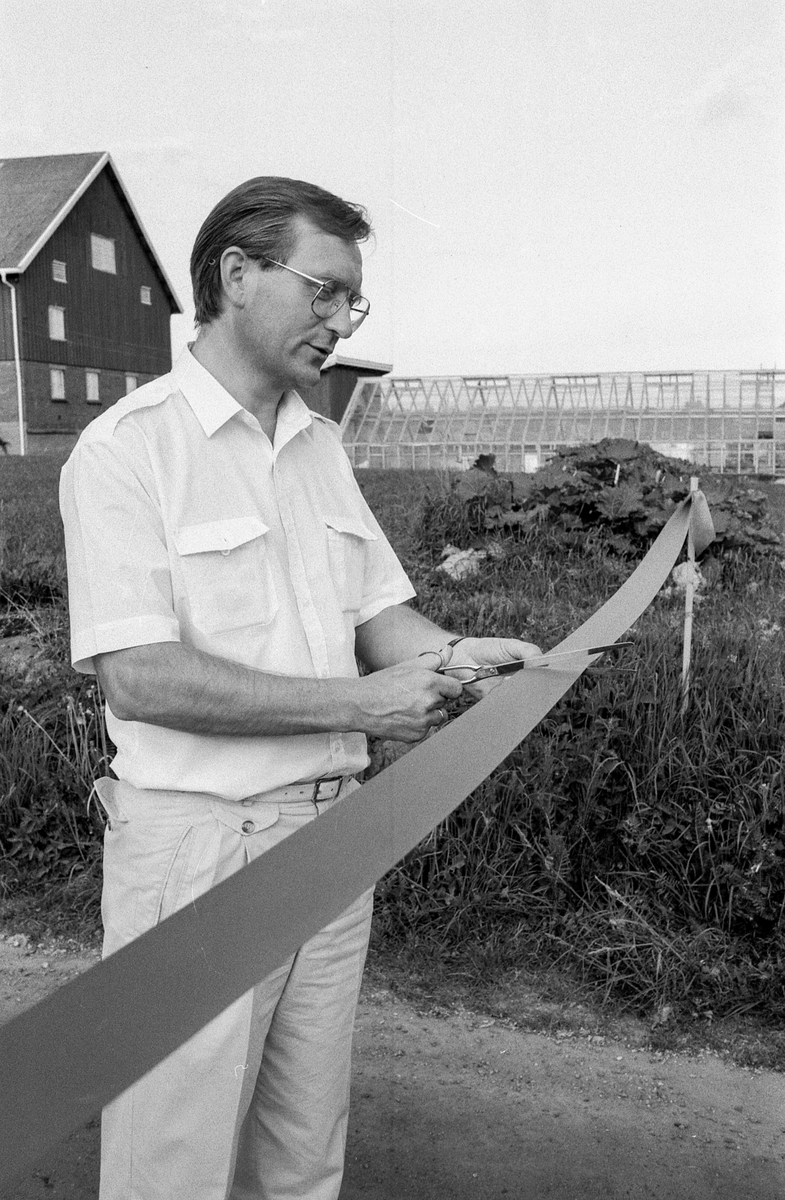 Kultursti åpnet i Nordby. Ordfører Johan Alnes kipper over båndet. Thorbein Gamst (tv) og Thorbjørn Nilsen, begge medlemmer av Nordby Rotary klubb sto bak prosjektet.