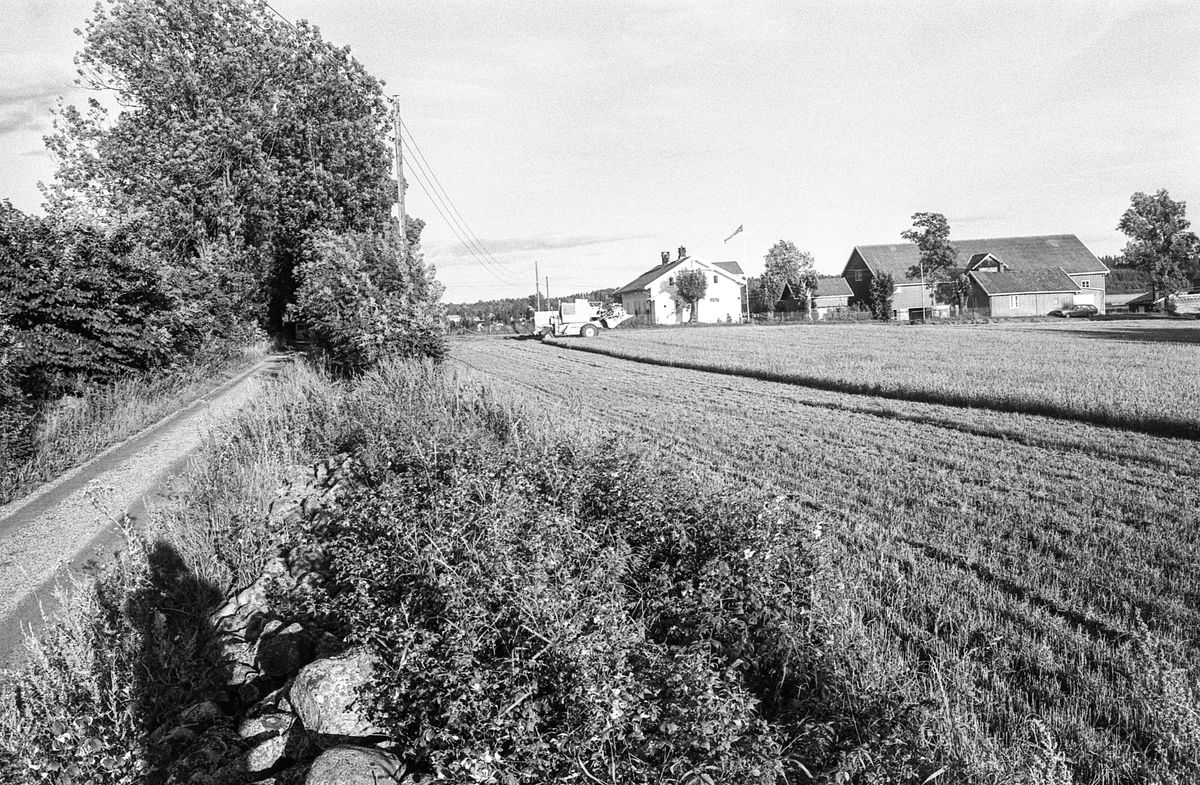 Naturbilder fra Kongeveien og Årungen i Nordby i Ås.