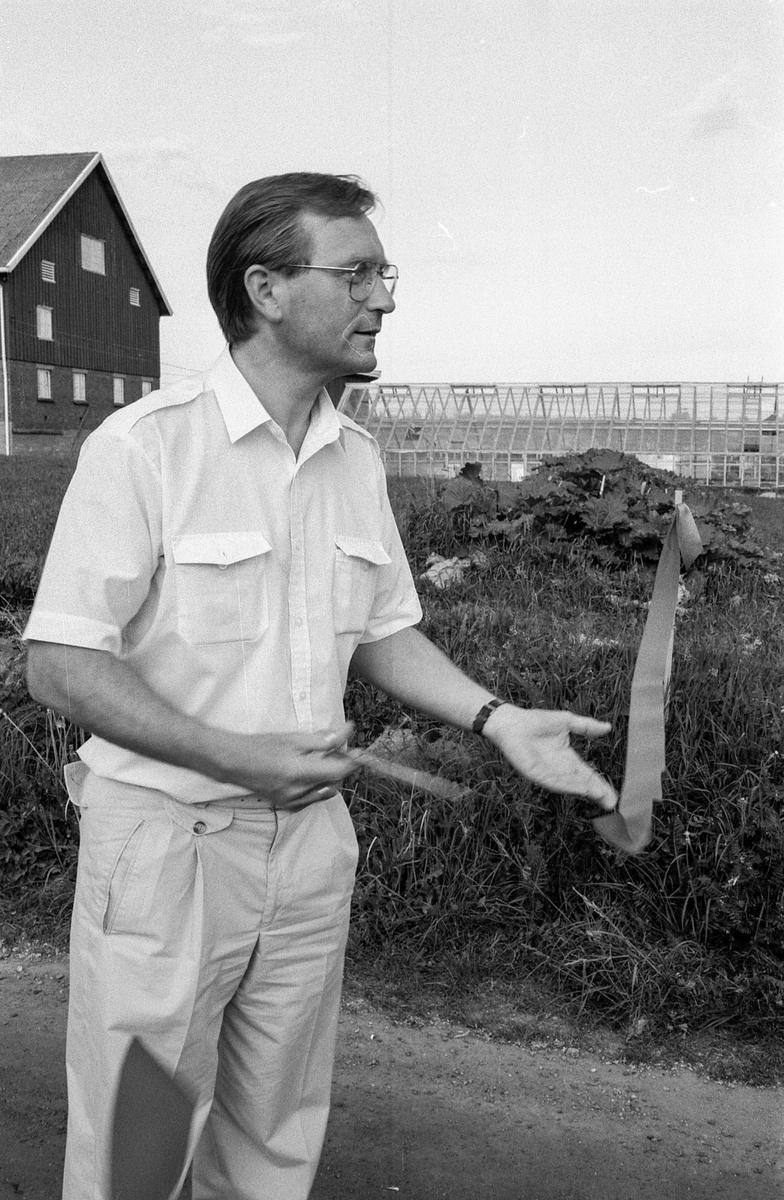 Kultursti åpnet i Nordby. Ordfører Johan Alnes kipper over båndet. Thorbein Gamst (tv) og Thorbjørn Nilsen, begge medlemmer av Nordby Rotary klubb sto bak prosjektet.