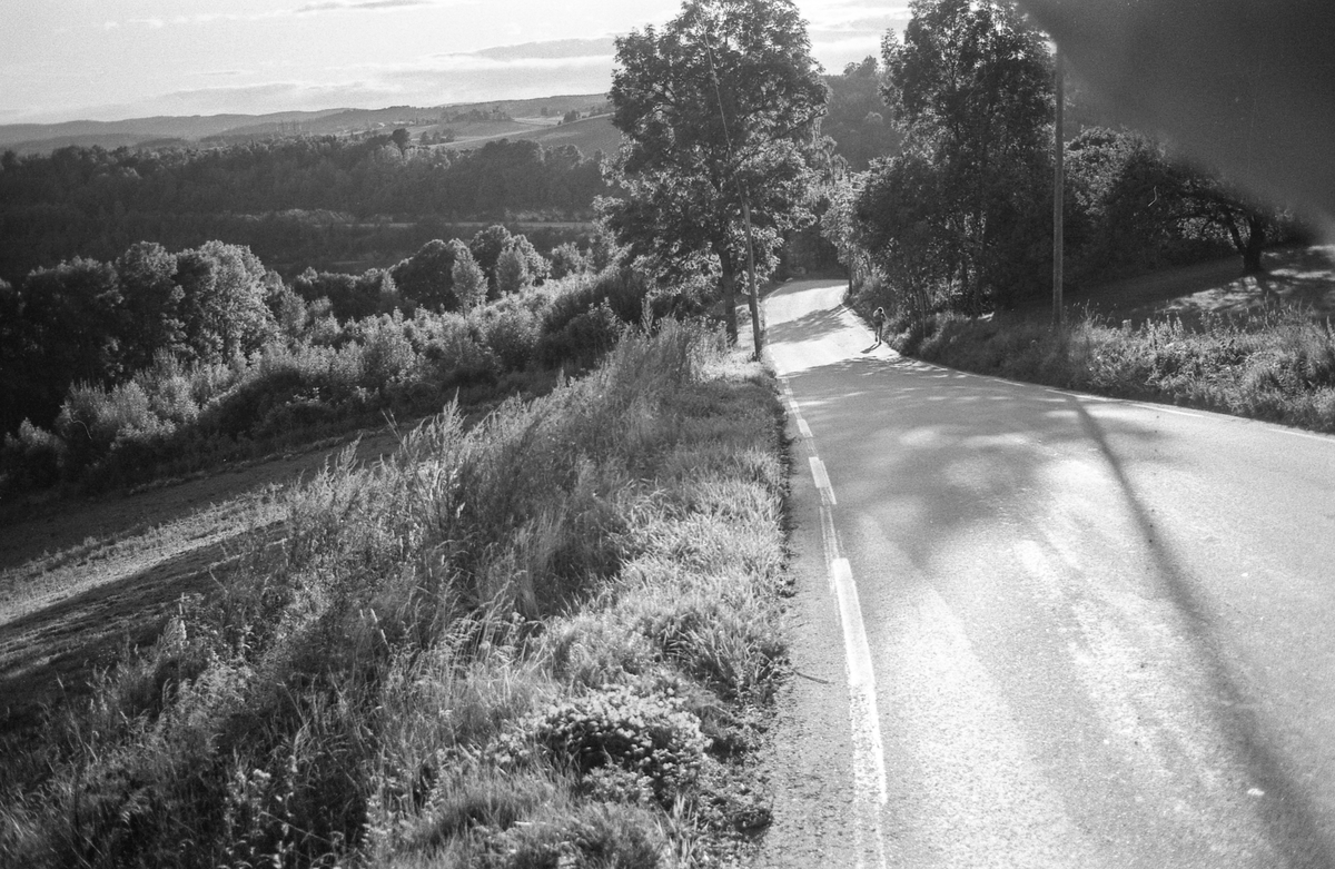 Naturbilder fra Kongeveien og Årungen i Nordby i Ås.