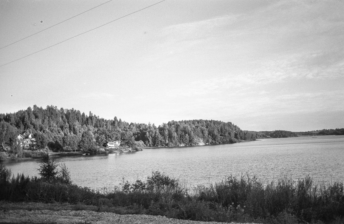 Naturbilder fra Kongeveien og Årungen i Nordby i Ås.