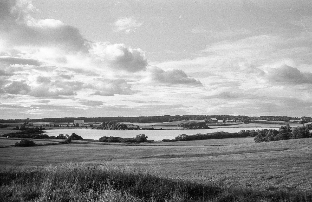 Naturbilder fra Kongeveien og Årungen i Nordby i Ås.