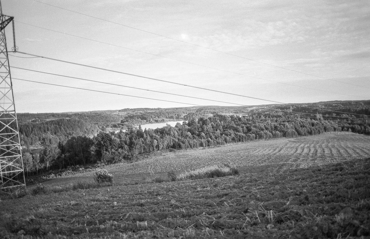 Naturbilder fra Kongeveien og Årungen i Nordby i Ås.