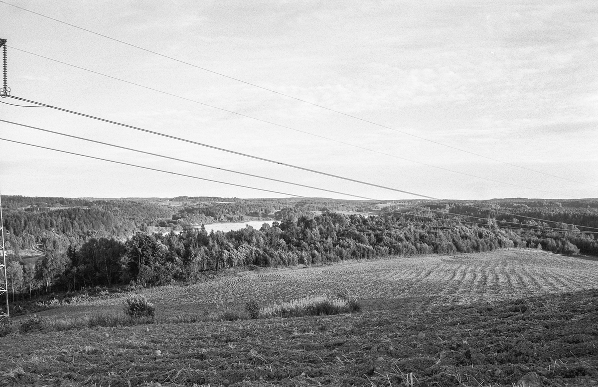 Naturbilder fra Kongeveien og Årungen i Nordby i Ås.