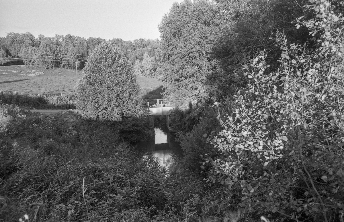 Naturbilder fra Kongeveien og Årungen i Nordby i Ås.