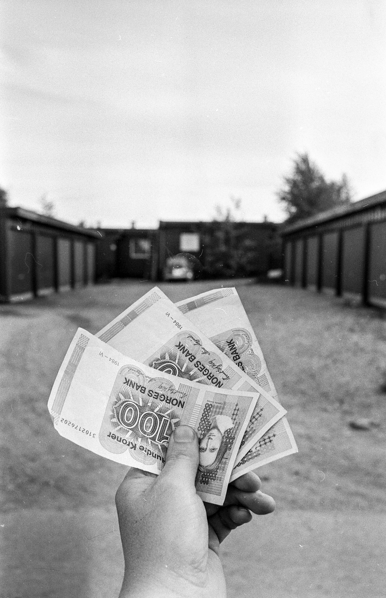 Brekkeskog borettslag. Ås boligbyggelag har fremsatt erstatningskrav mot lagets tidligere revisor på nærmere 200.00. Brekkeskog borettslag er en av de skadelidende.