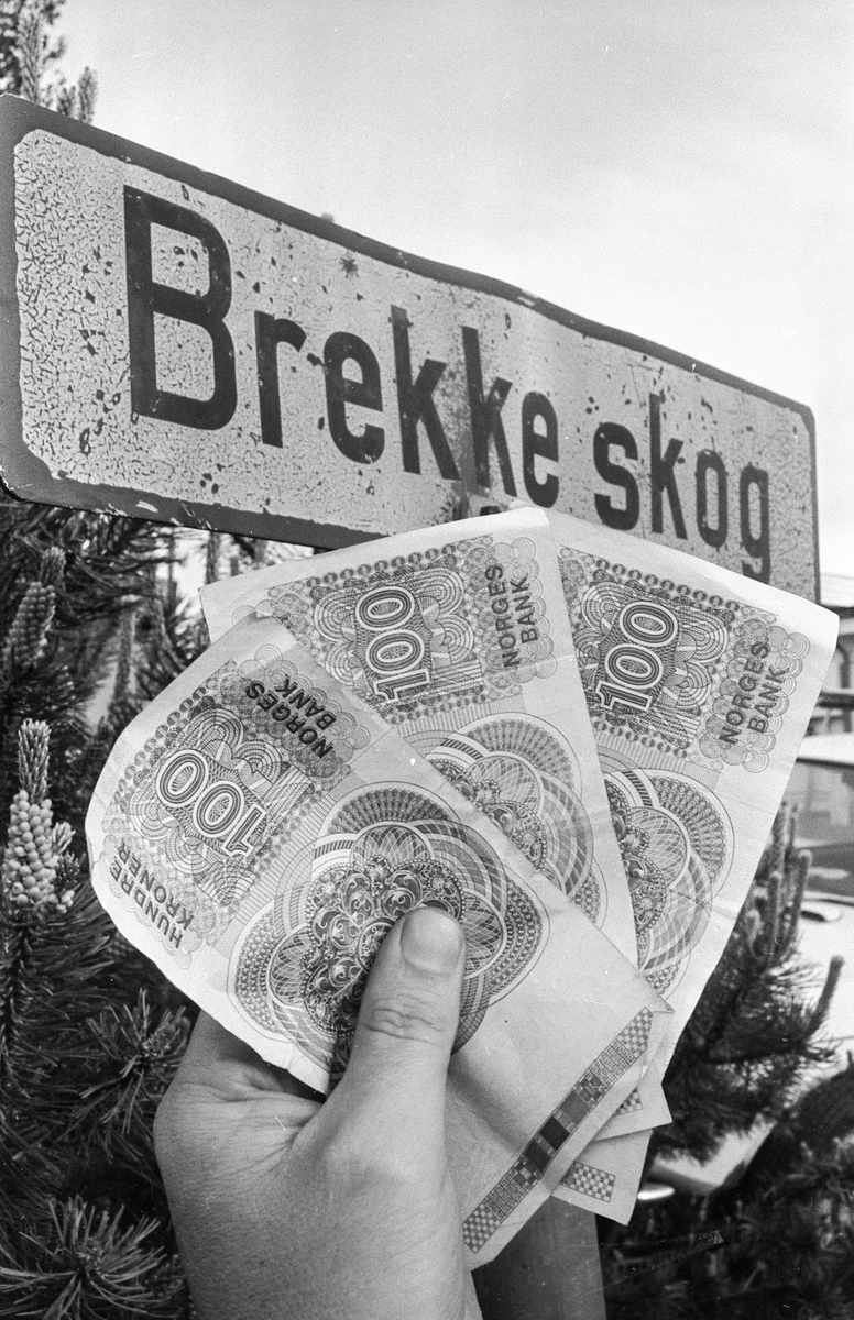 Brekkeskog borettslag. Ås boligbyggelag har fremsatt erstatningskrav mot lagets tidligere revisor på nærmere 200.00. Brekkeskog borettslag er en av de skadelidende.
