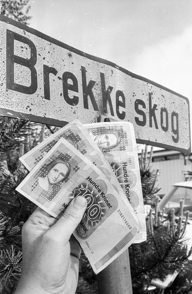 Brekkeskog borettslag. Ås boligbyggelag har fremsatt erstatningskrav mot lagets tidligere revisor på nærmere 200.00. Brekkeskog borettslag er en av de skadelidende.
