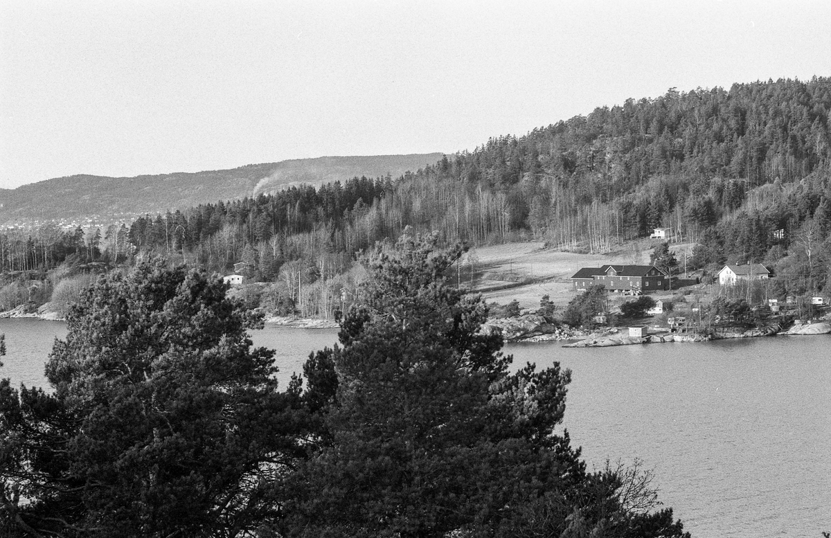 Laksa i Son. Fred. Olsen har utbyggingsplaner klar.