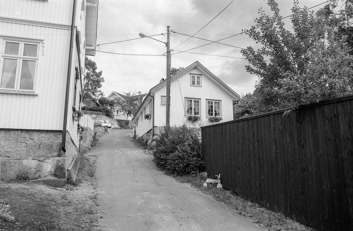 Kunstnerhjemmene i Son. 
Thornegården fra 1629, her holdt maleren Oluf Wold-Torne til (1867-1919). 
I Villa Holland ved Kugrava holdt Søren Onsager til (1878-1946).
I huset Pjåken holdt dramatikeren Nils Kjær til (1870-1924).
Brødrene Bjarne (1882-1970) og Sigurd Eriksen (1884-1976) og Alf Løvberg (1899-1986) holdt også til i Son.