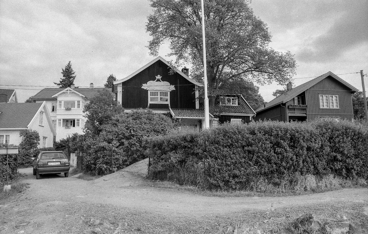 Kunstnerhjemmene i Son. 
Thornegården fra 1629, her holdt maleren Oluf Wold-Torne til (1867-1919). 
I Villa Holland ved Kugrava holdt Søren Onsager til (1878-1946).
I huset Pjåken holdt dramatikeren Nils Kjær til (1870-1924).
Brødrene Bjarne (1882-1970) og Sigurd Eriksen (1884-1976) og Alf Løvberg (1899-1986) holdt også til i Son.
