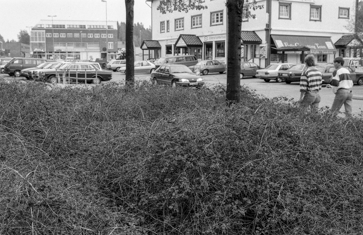 Diverse steder fra Ski sentrum. Jernbaneveien, Ski stasjon med undergangen, trapp til spor 2 og 3. Drosjebua, Elise Brekkebutikken. Inngangen til ØB. Rådhuset med plassen foran.
Fotograf: ØB Skole-elev