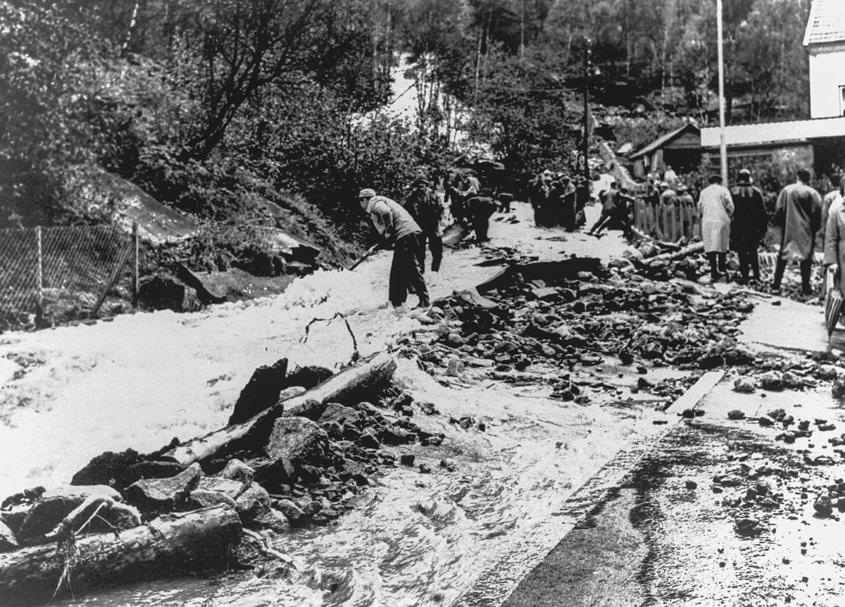 Flaumskader i Rødna i 1962