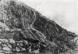 Industriutbygginga på Eitrheimsneset på 1920-talet.
