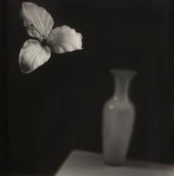 Space Invaders II [Fotografi laminert og klebet på aluminium