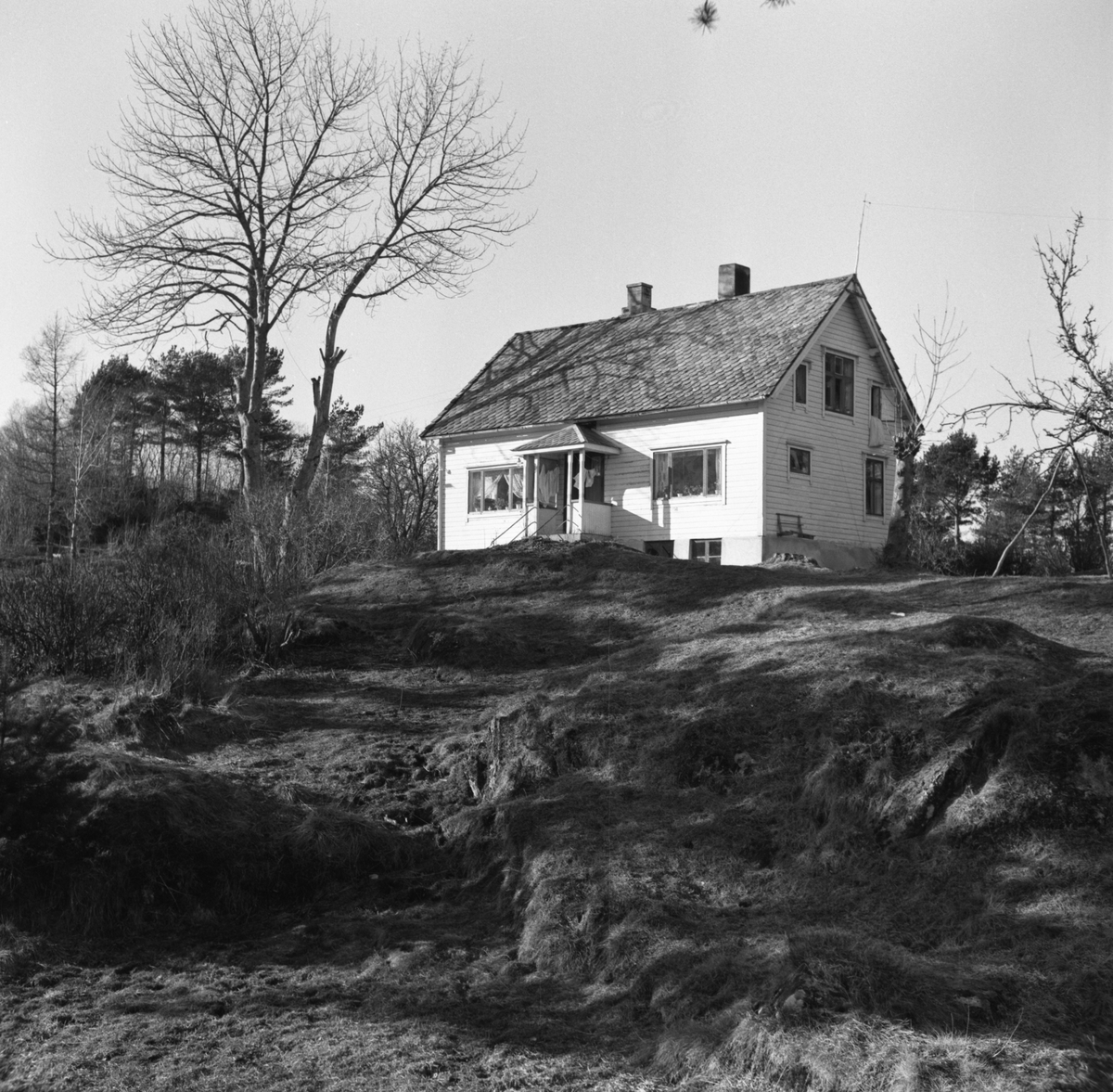 Prospektfotografier av gården Vågnes i Sula kommune.