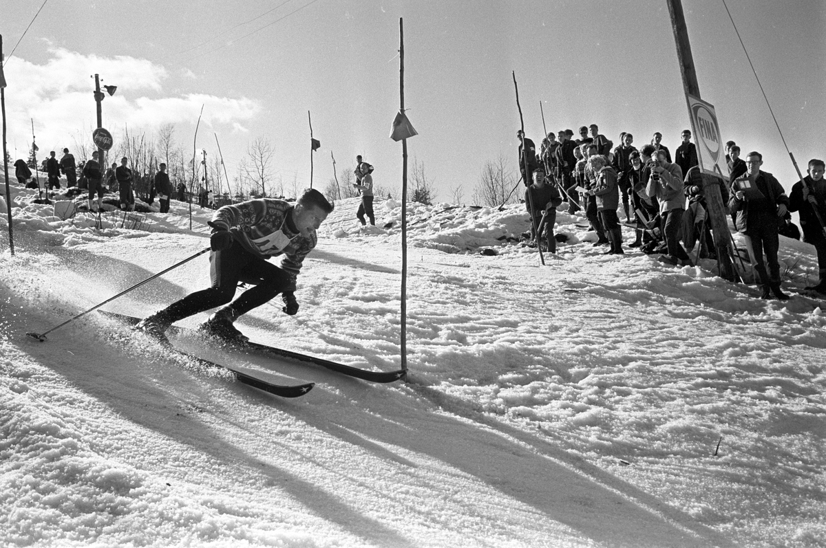 En slalåmkjøre på full fart nedovet i Kolåsbakken, tilskuere langs løypa, Blåveisrennet 1965. Fotografert april 1965.